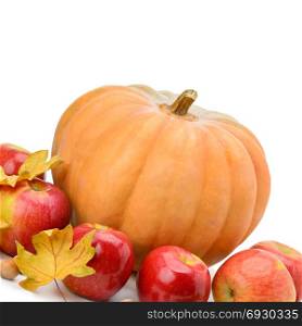Pumpkin, apples and hazel isolated on white background. Free space for text.