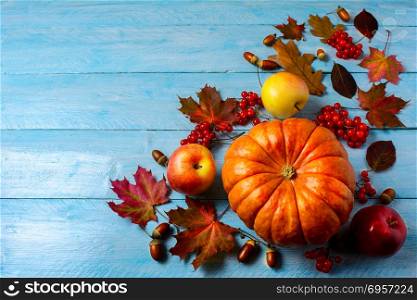 Pumpkin, apples, berries, acorns and fall leaves on blue backgro. Pumpkin, apples, berries, acorns and fall leaves on blue background copy space. Thanksgiving background with seasonal vegetables and fruits