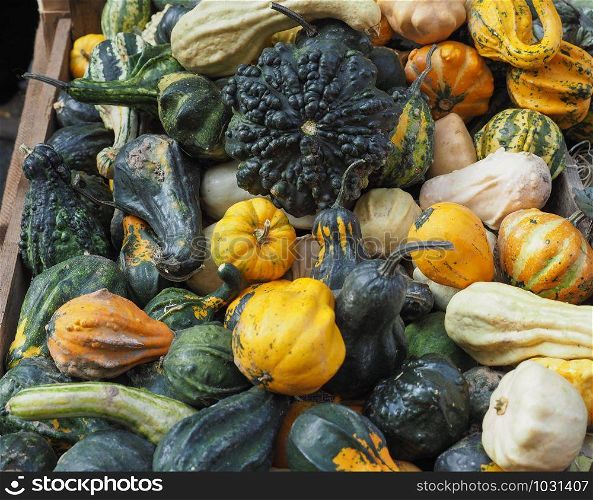 pumpkin (Cucurbita pepo) vegetables vegetarian and vegan food. pumpkin vegetables food