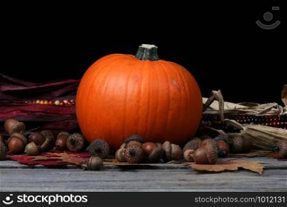 Pumpkin for Thanksgiving or Halloween holiday with dark background setting