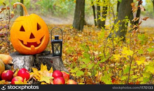 Pumpkin-head against a background of a autumn forest. Wide photo. Free space for text.