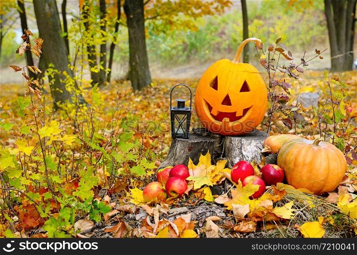 Pumpkin-head against a background of an autumn forest. Halloween is a fun holiday.