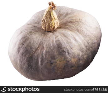 Pumpkin isolated over white background, horizontal image