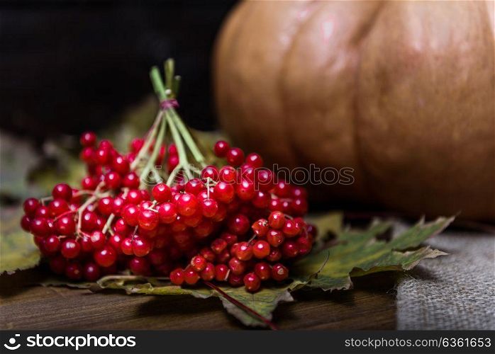 pumpkin lying on a wooden table with leaves, viburnum