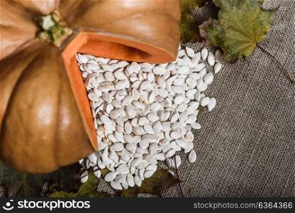 pumpkin lying on a wooden table with viburnum and seeds