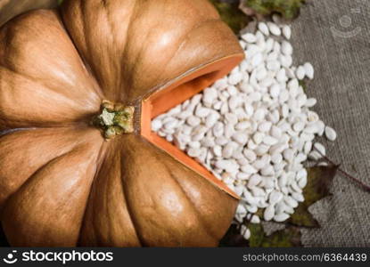 pumpkin lying on a wooden table with viburnum and seeds