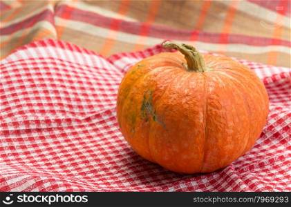 Pumpkin on a red and white checkered cloth.