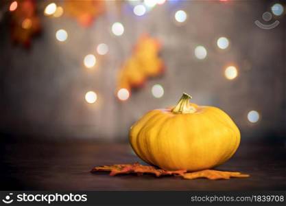 pumpkin on autumn leaves. bokeh background with copy space, colorful design background Halloween and Fall, space for text. pumpkin on autumn leaves. bokeh background with copy space, colorful design background Halloween and Fall,