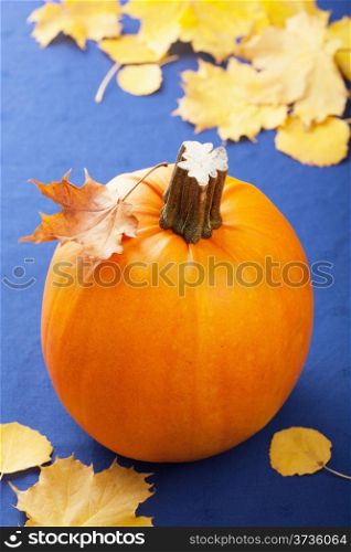 pumpkin on blue background