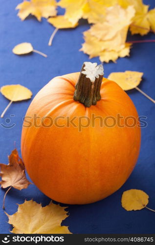 pumpkin on blue background