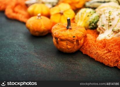 Pumpkin on dark background. Autumn. Harvest. Thanksgiving. Selective focus, vibrant colors
