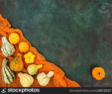 Pumpkin on dark background. Autumn. Harvest. Thanksgiving. Vibrant colors
