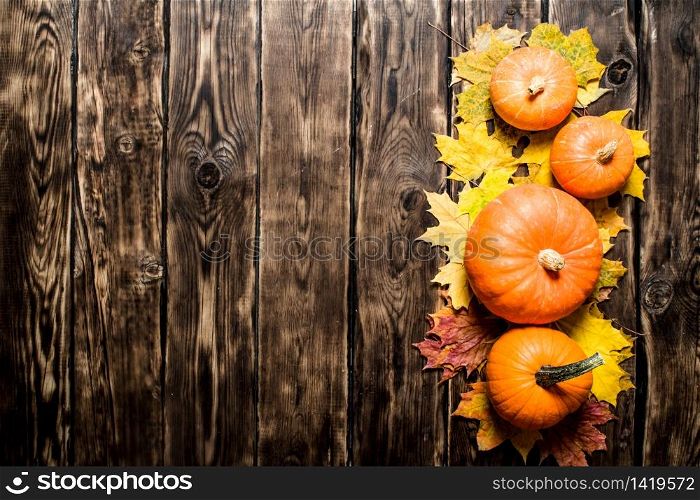 Pumpkin on maple leaves. On wooden background.. Pumpkin on maple leaves.
