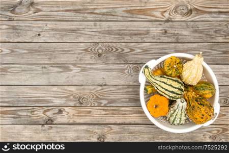 Pumpkin on rustic wooden table background. Autumn. Thanksgiving