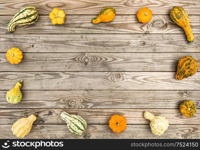 Pumpkin on rustic wooden texture. Autumn background. Thanksgiving