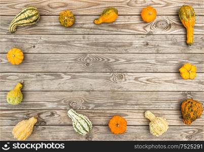 Pumpkin on rustic wooden texture. Autumn background. Thanksgiving