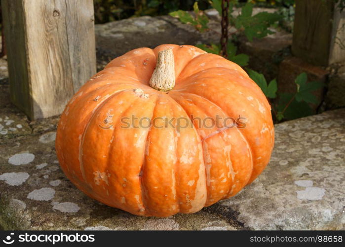 Pumpkin on the coping of a well in a garden during autumn