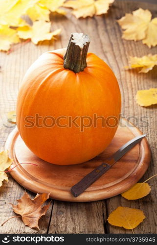 pumpkin on wooden background