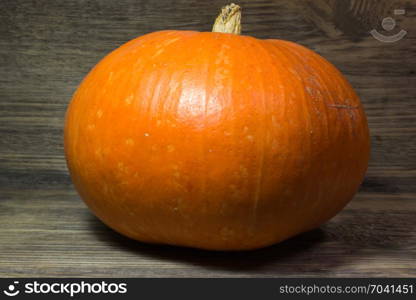 Pumpkin on wooden background