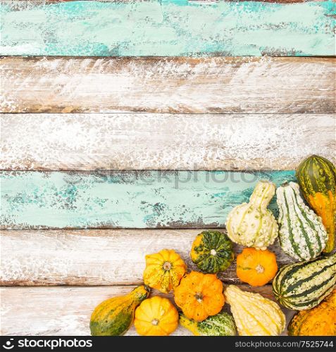 Pumpkin on Wooden Background. Autumn