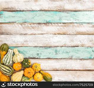 Pumpkin on Wooden Background. Autumn. Harvest. Thanksgiving
