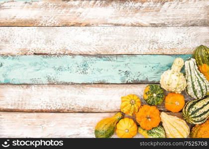 Pumpkin on wooden background. Autumn. Harvest. Thanksgiving. Halloween