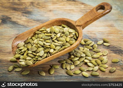 pumpkin seeds on a rustic wooden scoop against grunge painted wood background