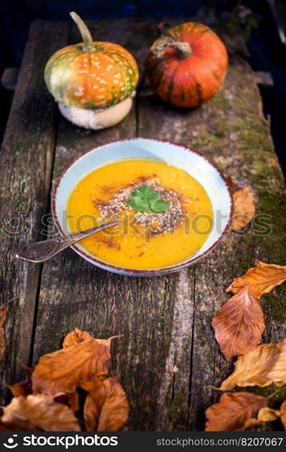 pumpkin soup on wooden table autumn dish