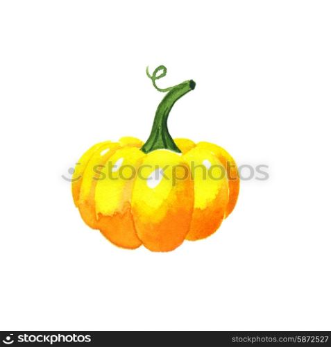 Pumpkin. Watercolor illustration on a white background