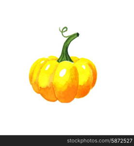 Pumpkin. Watercolor illustration on a white background