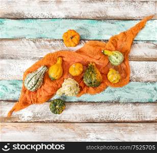 Pumpkin with textile decoration on wooden texture. Autumn background