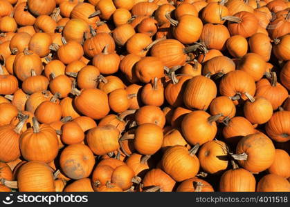 Pumpkins