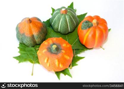 Pumpkins about four green leaf isolated on white background