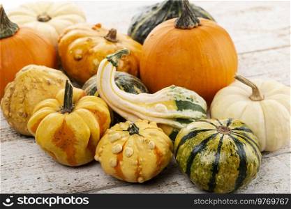 Pumpkins Collection on wooden background