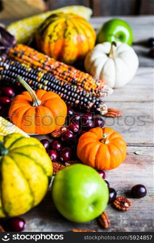 Pumpkins,corn,apples,nuts and cranberries on wooden background