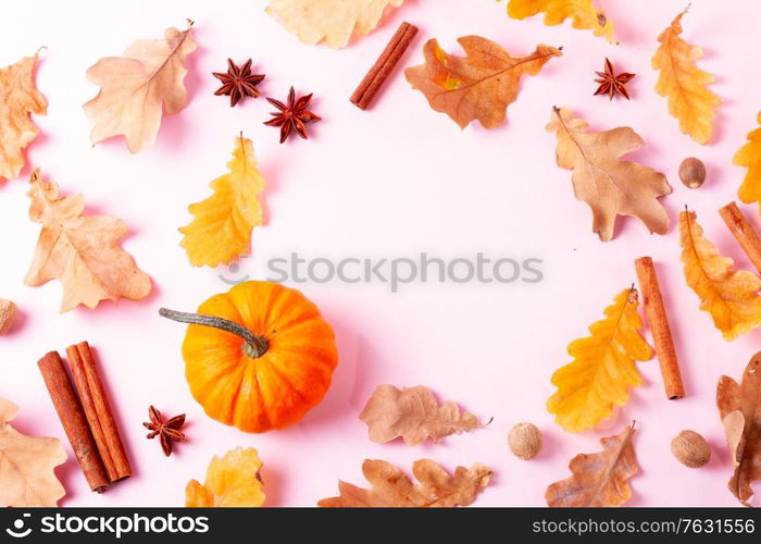 Pumpkins, fall leaves and spices on pink flat lay autumn background, copy space. Fall season and holidays concept.. pumpkin on table