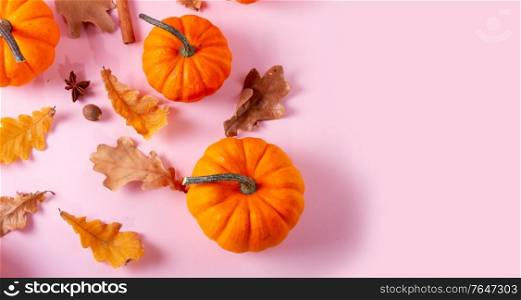 Pumpkins, fall leaves and spices on pink flat lay autumn background, web banner. pumpkin on table