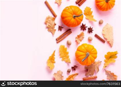 Pumpkins, fall leaves and spices on pink flat lay top view autumn background with copy space. pumpkin on table