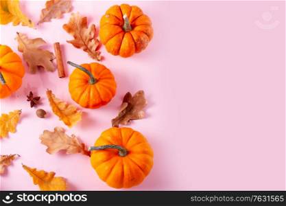 Pumpkins, fall leaves and spices on pink flat lay top view autumn background border with copy space. pumpkin on table
