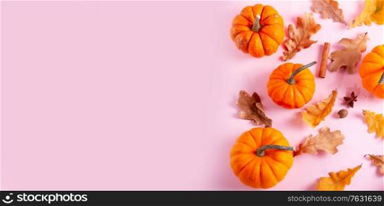 Pumpkins, fall leaves and spices on pink flat lay top view autumn background web banner with copy space. pumpkin on table
