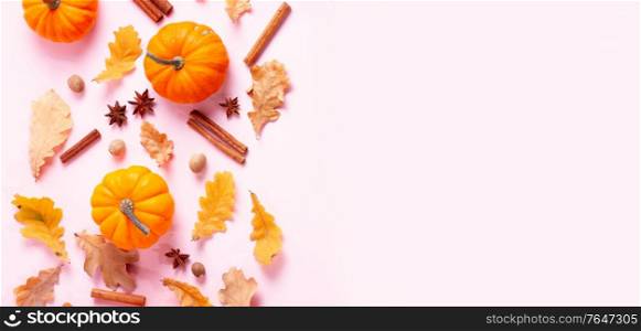 Pumpkins, fall leaves and spices on pink flat lay top view autumn background with copy space, web banner fromat. pumpkin on table