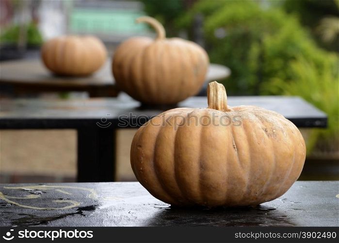pumpkins in a restaurant in the town of Nyaungshwe at the Inle Lake in the Shan State in the east of Myanmar in Southeastasia.. ASIA MYANMAR BURMA NYAUNGSHWE PUMPKINS