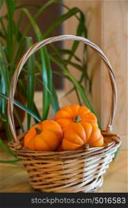 Pumpkins in basket