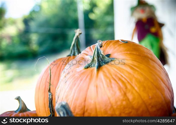 Pumpkins in the wooden box preparing for sale