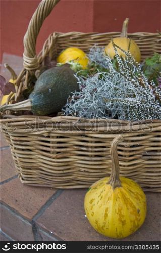 Pumpkins lying in and next to a basket