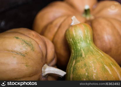 pumpkins lying on a wooden table
