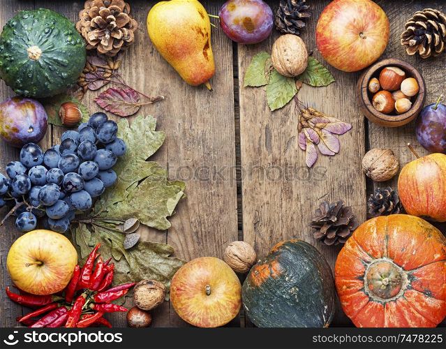Pumpkins,nut and fruits in autumn still life on wooden table.Fall still life. Autumn harvest still life