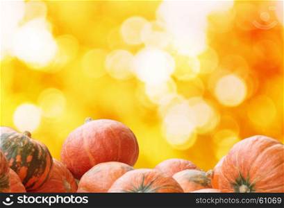 pumpkins on autumn bokeh background with space for your text greeting for autumn season.