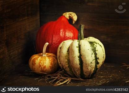 pumpkins on old wooden table