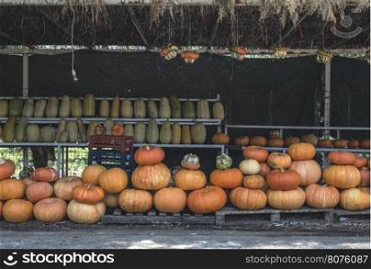 Pumpkins on the market.